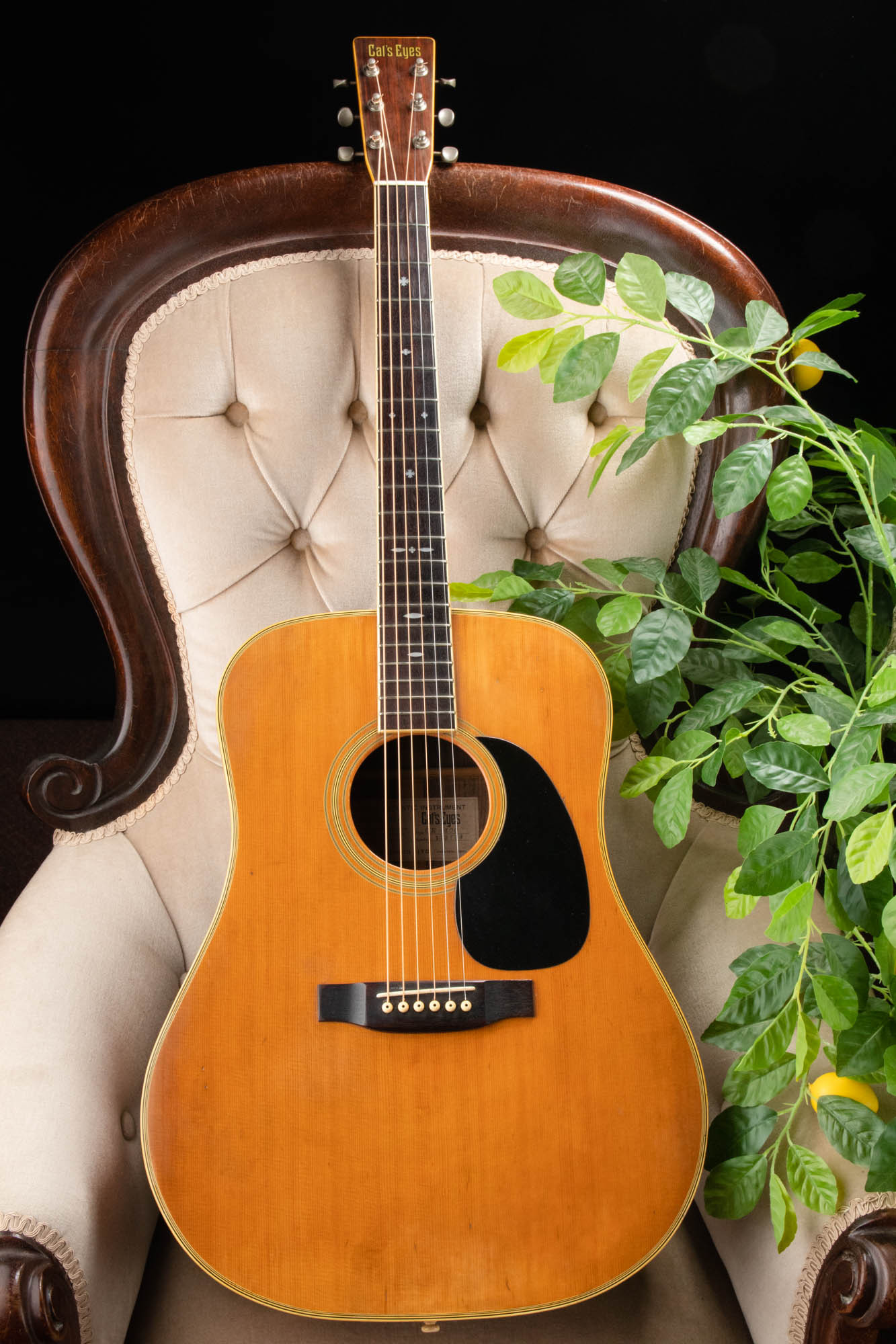 Eyes CE-400 Cat's Tokai 0 アコースティックギター☆ジャンク品 Solid